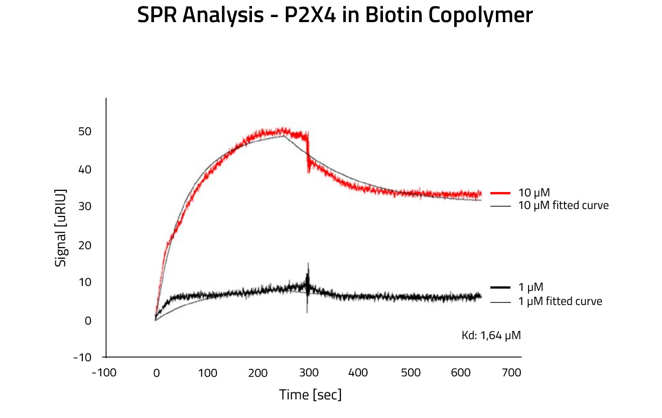 SPR Analysis - P2X4 in Biotinylated Copolymer